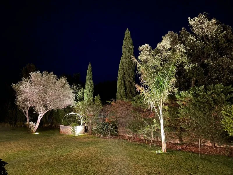 La maison dans les arbres, Écully, MVA Intérieur