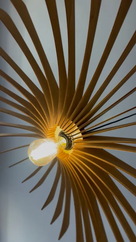 Studio Lyon 7, MVA Interieur